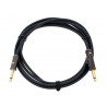 PLANET WAVES AG10 CABLE GUITARRA 3M CON INTERRUPTOR