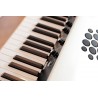 KORG SV2 88S STAGE VINTAGE PIANO DIGITAL DE ESCENARIO 88 TECLAS PLATEADO