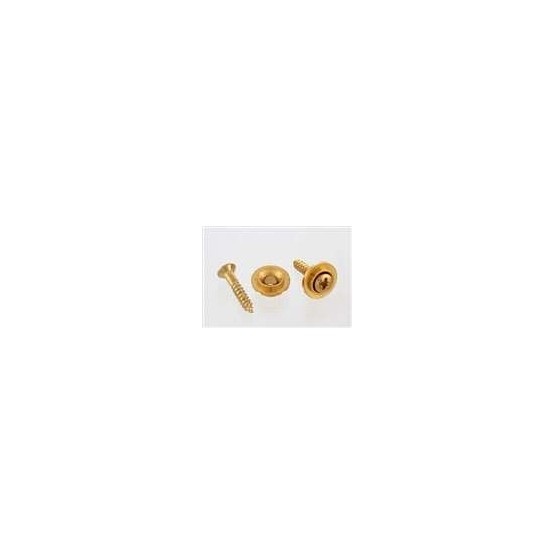 ALL PARTS AP0730002 ROUND STRING GUIDES (2) WITH SCREWS FOR GUITAR GOLD