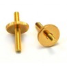 ALL PARTS BP2393002 STUDS AND WHEELS SET METRIC FOR OLD STYLE TUNEMATIC BRIDGE GOLD