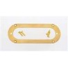 ALL PARTS PC5765002 METAL PICKUP MOUNTING RING FOR STRAT SIZED PICKUP GOLD OVAL