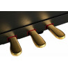 ROLAND HP702 CH PIANO DIGITAL CHARCOAL BLACK
