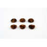 ALL PARTS TK7724043 TORTOISE BUTTON SET FOR GROVER