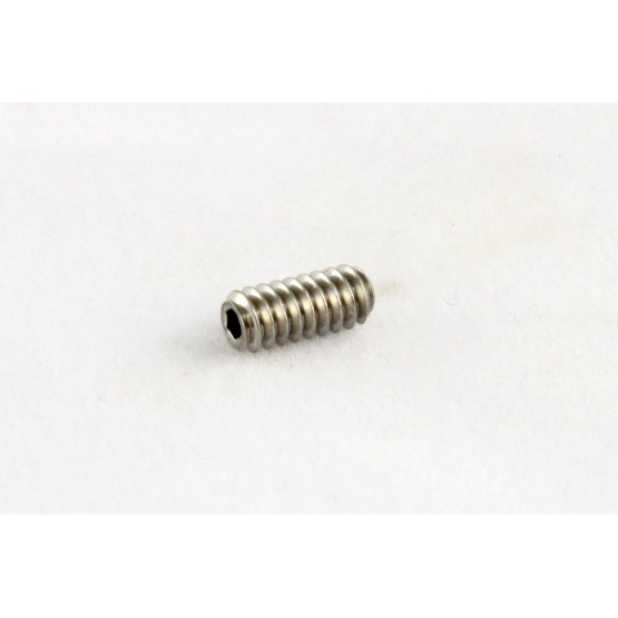 ALL PARTS GS3382005 BRIDGE HEIGHT SCREWS FOR BASS OR TGUITAR HEX HEAD STAINLESS 6 - 32 X 1/4