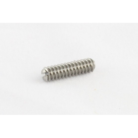 ALL PARTS GS3377005 BRIDGE HEIGHT SCREWS FOR BASS OR TGUITAR SLOT HEAD STAINLESS 6 - 32 X 1/2