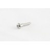 ALL PARTS GS3376010 TUNING KEY SCREWS CHROME SMALL SIZE FOR ENCLOSED KEYS 2 X 3/8 LONG