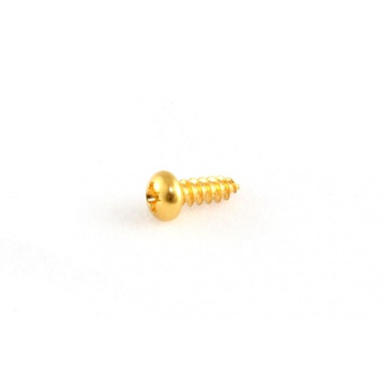 ALL PARTS GS3206002 TRUSS ROD COVER SCREWS (8 PIECES) PHILLIPS HEAD GOLD 2 X 3/8