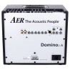AER DOMINO 2A AMPLIFICADOR DE 4 CANALES 120W CON EFECTOS