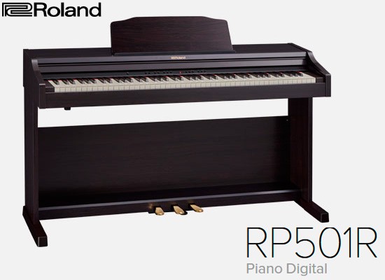 ROLAND RP501R