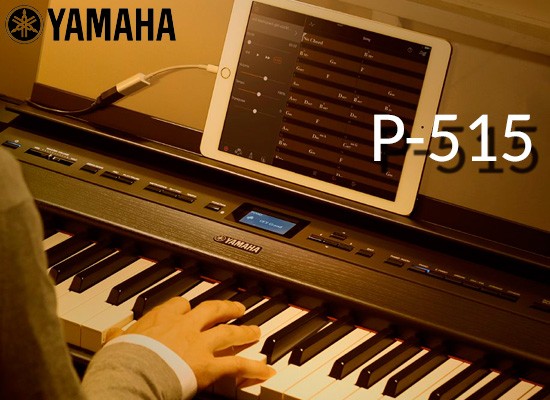 NUEVOS PIANOS YAMAHA P515